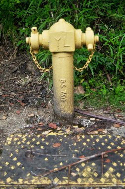 Sabah Malezya 'nın Borneo Kalimantan kentindeki Kota Kinabalu Jesselton şehrinde itfaiyeciler için yangın musluğu ya da yangın musluğu sistemi