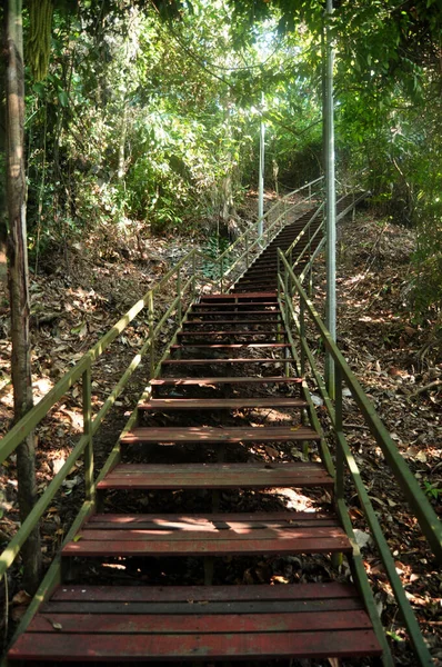 Fußweg Hölzerne Treppe Des Signal Hill Trail Unten Für Malaysische — Stockfoto