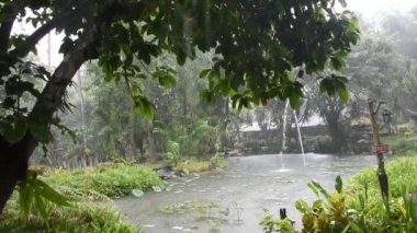 Tayland 'ın Kanchanaburi kentindeki gezginler ve Tayland' a seyahat eden Taylandlılar için yağmur mevsiminde bahçe bahçeleri ve bahçe havuzu manzarası ve bitki ağacı çiçekleri sergilenmektedir.