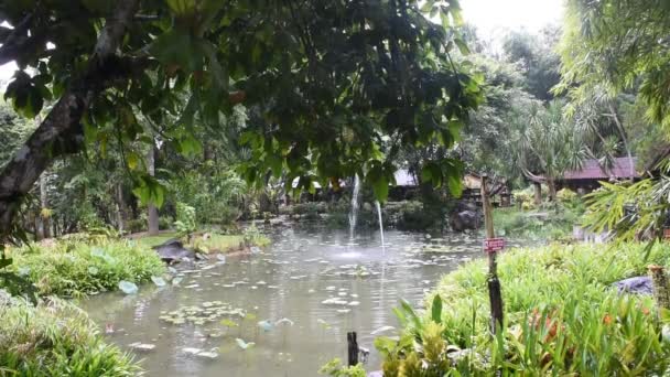 Vista Paisagem Jardinagem Fonte Lagoa Piscina Jardim Livre Resort Com — Vídeo de Stock