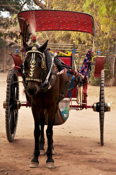 Βιρμανίας Καθίσουν Βόλτα Άλογο Που Άμαξες Και Περιμένουν Για Burma — Φωτογραφία Αρχείου