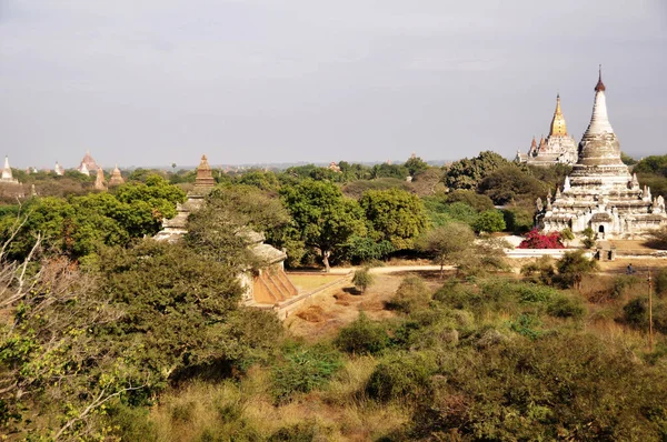 View Landscape Ruins Cityscape Unesco World Heritage Site 2000 Pagodas — Φωτογραφία Αρχείου