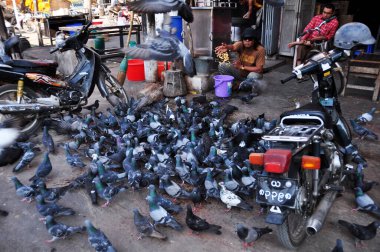 Birmanyalı erkekler, 4 Şubat 2013 'te Mandalay, Myanmar veya Burma' da, Mahamuni Tapınağı 'ndaki tamirhanenin önünde güvercin yemi besliyorlar ve güvercin yemi besliyorlar. 