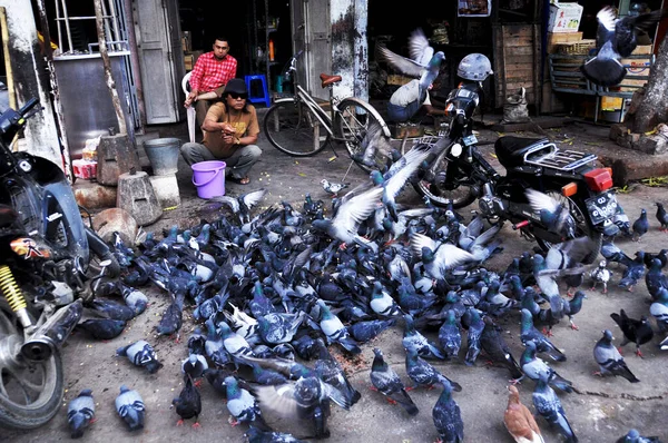 Barmánci Hrají Holubím Ptákem Krmí Holubí Ptáky Krmivem Před Opravnou — Stock fotografie