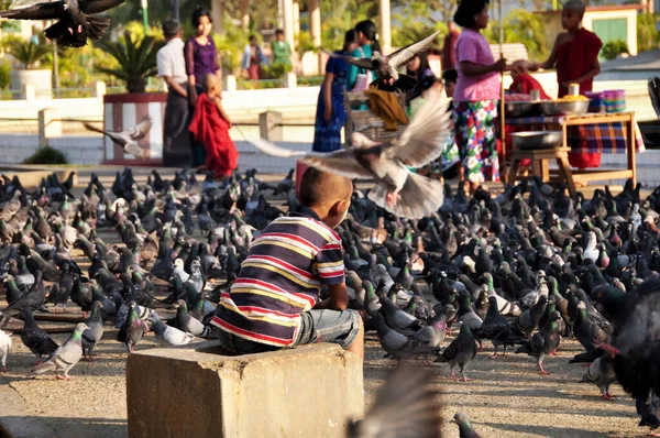 Burmesische Kinder Jungen Anfänger Reisegruppe Besuch Spielen Mit Taubenvogel Und — Stockfoto