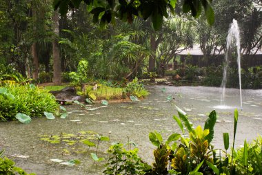 Tayland 'ın Kanchanaburi kentindeki gezginler ve Tayland' a seyahat eden Taylandlılar için yağmur mevsiminde bahçe bahçeleri ve bahçe havuzu manzarası ve bitki ağacı çiçekleri sergilenmektedir.