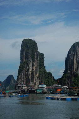 Vietnamlılar ve yabancı gezginler Halong 'daki yüzen balıkçı köyünü ziyaret edip geziyorlar. Bu da alçalan ejderha ya da Vietnam' ın Hanoi kentindeki UNESCO Dünya Doğal Mirası anlamına geliyor.