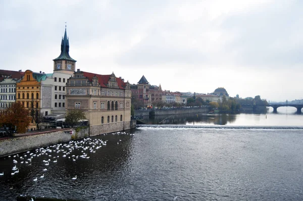 Paisagem Cityscape Edifício Antigo Clássico Castelo Praga Com Charles Bridge — Fotografia de Stock