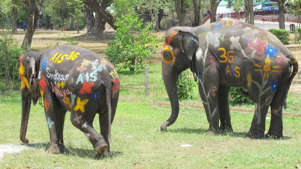 Songkran festival wird in einem traditionellen Neujahrstag in Ayutthaya, Thailand gefeiert — Stockfoto