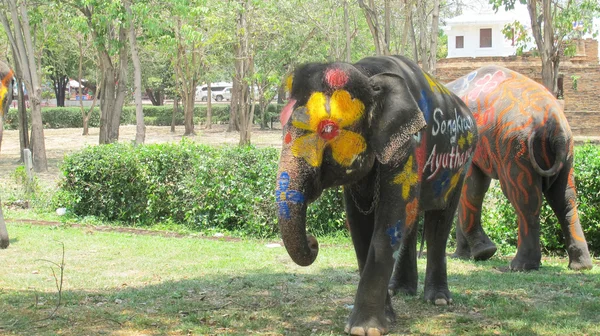 Songkran Festival is celebrated in a traditional New Year 's Day in Ayutthaya, Thailand — стоковое фото