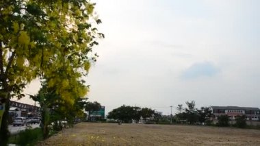 Cassia fistül ile Rüzgar