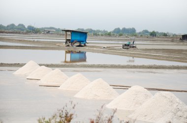Tuz tarım veya tuz buharlaşma gölet