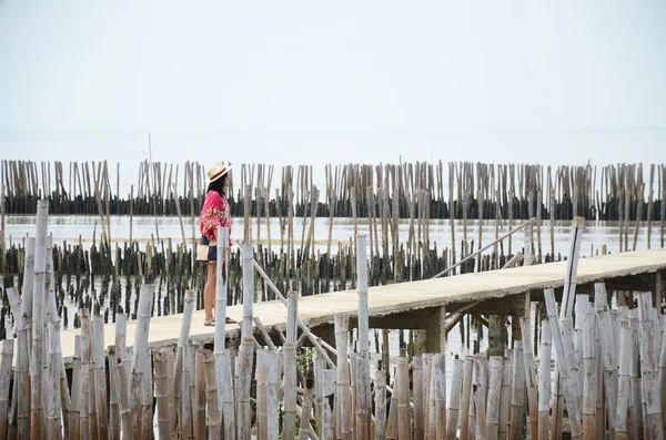 Femmes thaïlandaises seules sur le pont passerelle dans la forêt de Mangrove — Photo