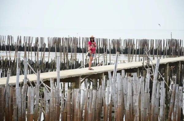 Thailändska kvinnor ensam på gångvägen bron i mangroveskogen — Stockfoto