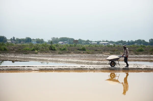 Thai people keeping salt from Salt farming — Stock Photo, Image