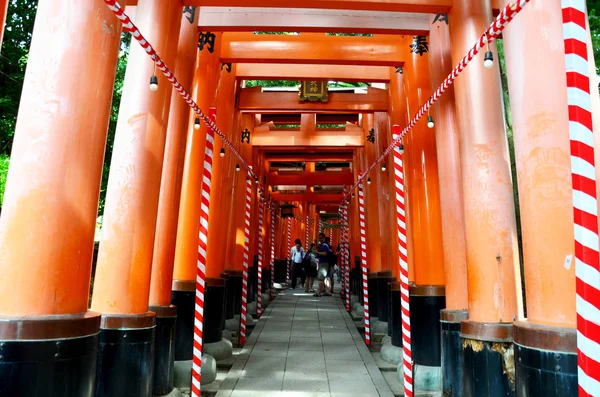 La gente viaggia e cammina attraverso un tunnel di torii — Foto Stock