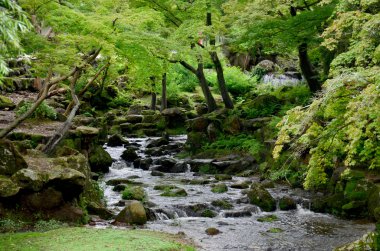 Şelalenin Todai-ji Tapınağı