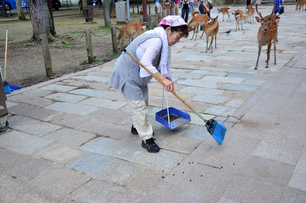 Old japanese woman sweeper cleaning deer pellets at walkway of T — Stock Photo, Image