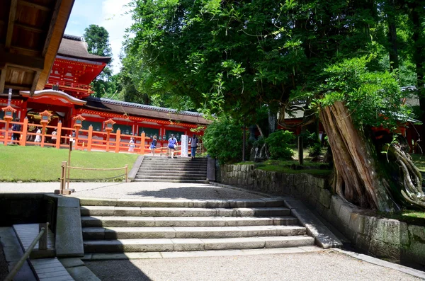 Viajante viagem e caminhando no Santuário Kasuga — Fotografia de Stock