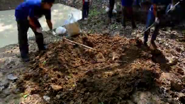 Tajowie wolontariuszy zrobić zagrywek soli dla zwierząt jeść w Panoenthung lesie — Wideo stockowe