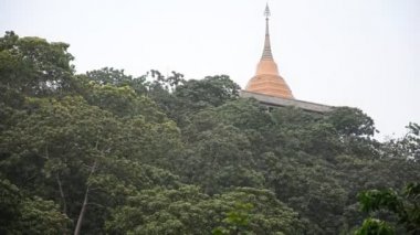 Wat Khao Chong Pran Ratchaburi Tayland, gece uçan yüz milyon yarasa.