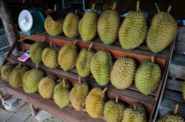 Greengrocery ya da sebze ve meyve Shop