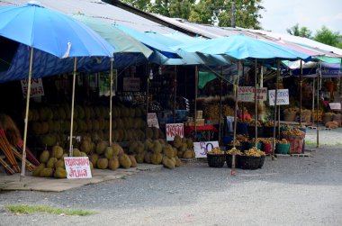 Greengrocery ya da sebze ve meyve Shop
