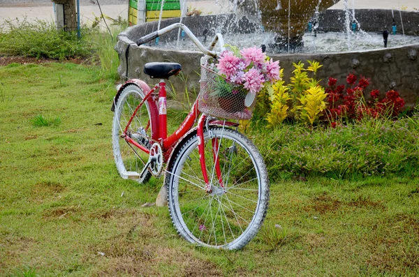 Old classic red bicycle in garden — Stock Photo, Image