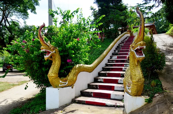 Thajském stylu draka nebo Naka na schodiště pro vstup na Wat Thamm — Stock fotografie