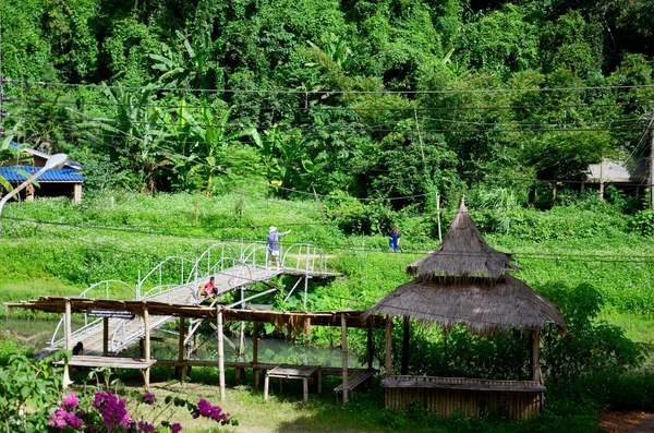 Vista del paisaje en el pueblo de Baan Natong — Foto de Stock