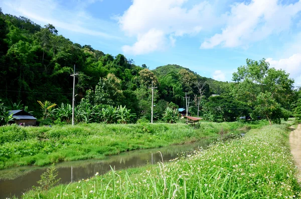 Widok na krajobraz w Baan Natong village — Zdjęcie stockowe