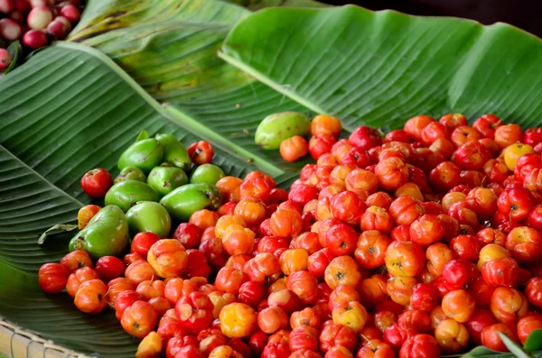 Barbados cherry fruits — 图库照片