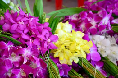 Buda dua için orkide çiçek