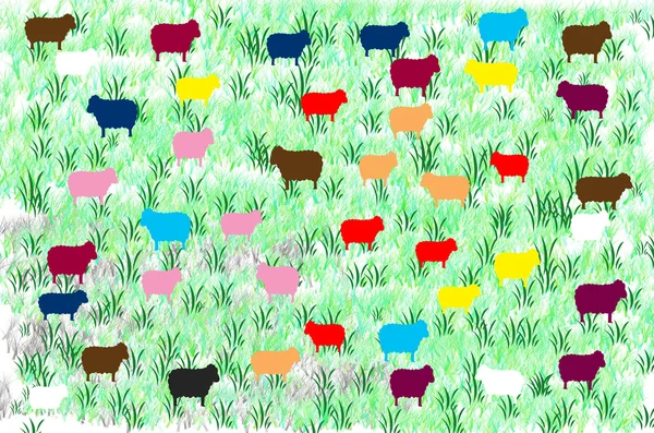 Black sheep and Colorful sheep