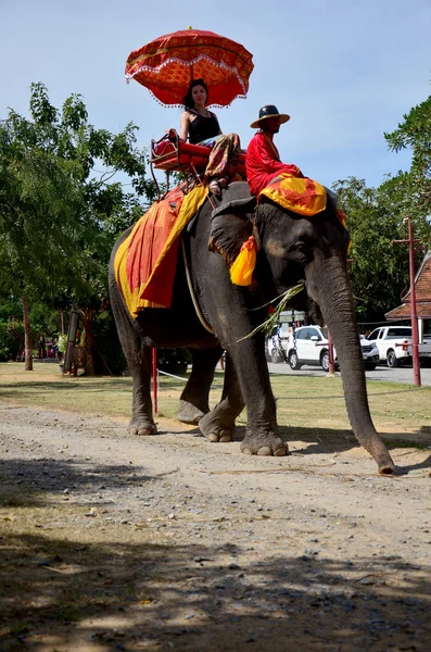 Traveler riding elephant for tour around Ayutthaya ancient city — Stock Photo, Image