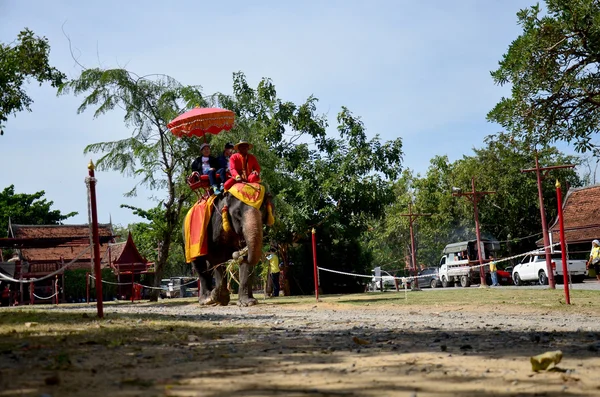 Viajante montando elefante para passeio em torno de Ayutthaya cidade antiga — Fotografia de Stock