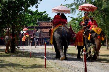 Ayutthaya Antik şehir etrafında tur için fil sürme Gezgin