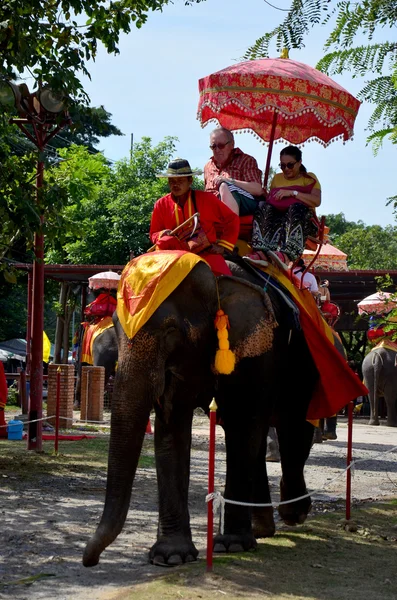 Reiziger rijden olifant voor tour rond de oude stad Ayutthaya — Stockfoto