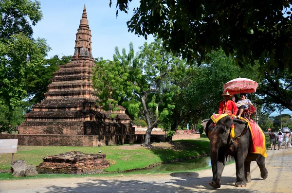 Viajero a caballo elefante para recorrer la antigua ciudad de Ayutthaya — Foto de Stock