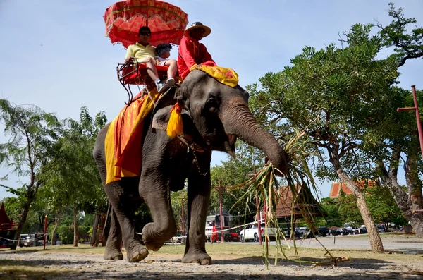 Traveler riding elephant for tour around Ayutthaya ancient city — Stock Photo, Image