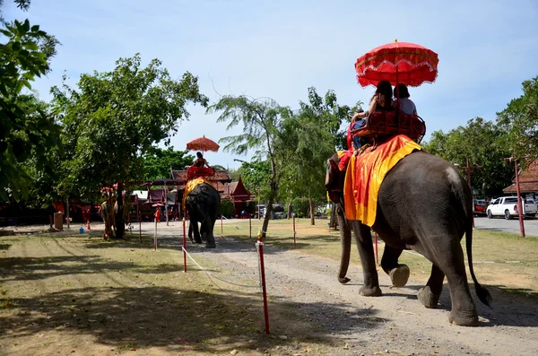 Traveler riding elephant for tour around Ayutthaya ancient city — Stock Photo, Image