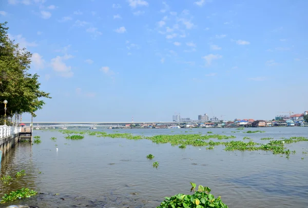 Puente y movimiento del río Chao phraya — Foto de Stock