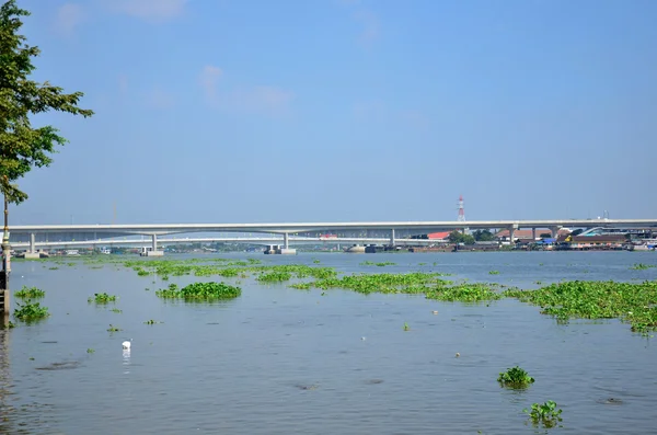 Puente y movimiento del río Chao phraya — Foto de Stock