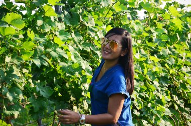 Taylandlı kadınların portre üzüm bahçesinde