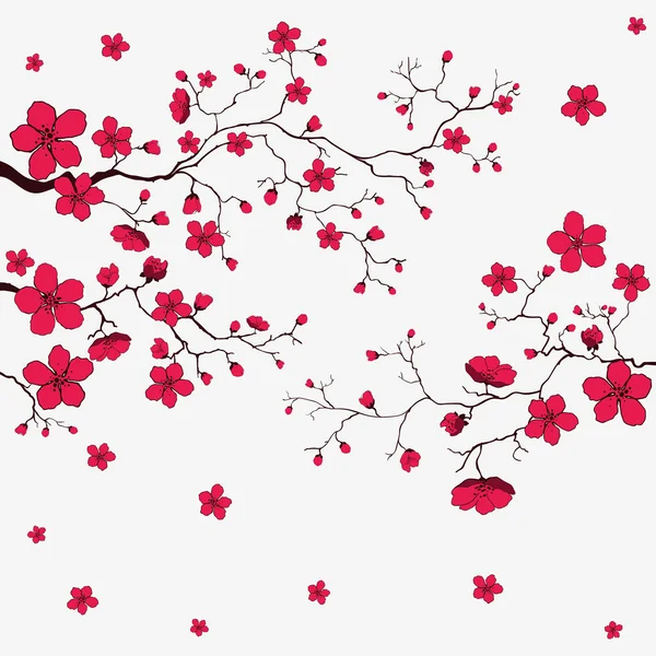 Cseresznyevirág ág banner. — Stock Vector