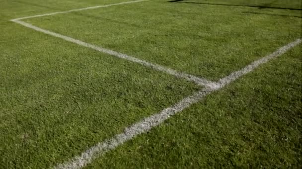 Campo de fútbol verde en un día soleado — Vídeo de stock