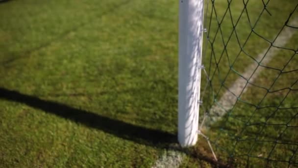 Fußballtor und Netz — Stockvideo