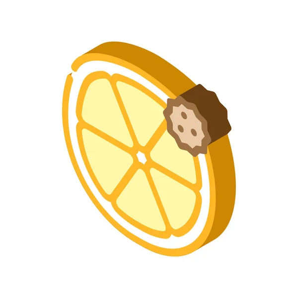Citrusové plody alergie izometrické ikony vektorové ilustrace — Stockový vektor