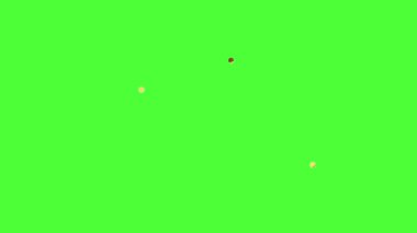 Kano Gezisi Çiftler Animasyonu