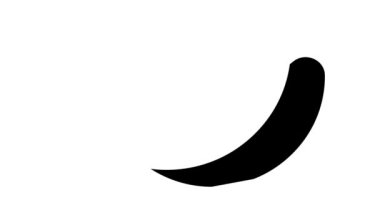 göz altı yamaları aksesuar simge canlandırması